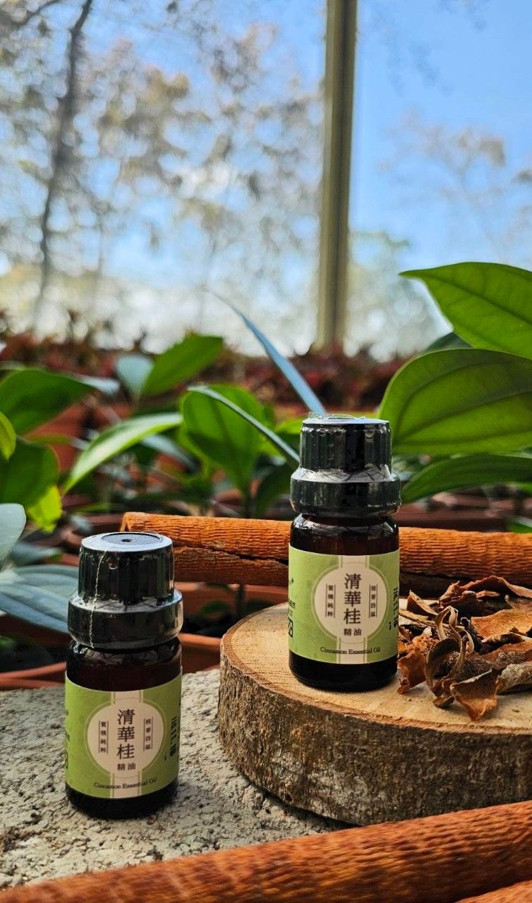 清華桂精油