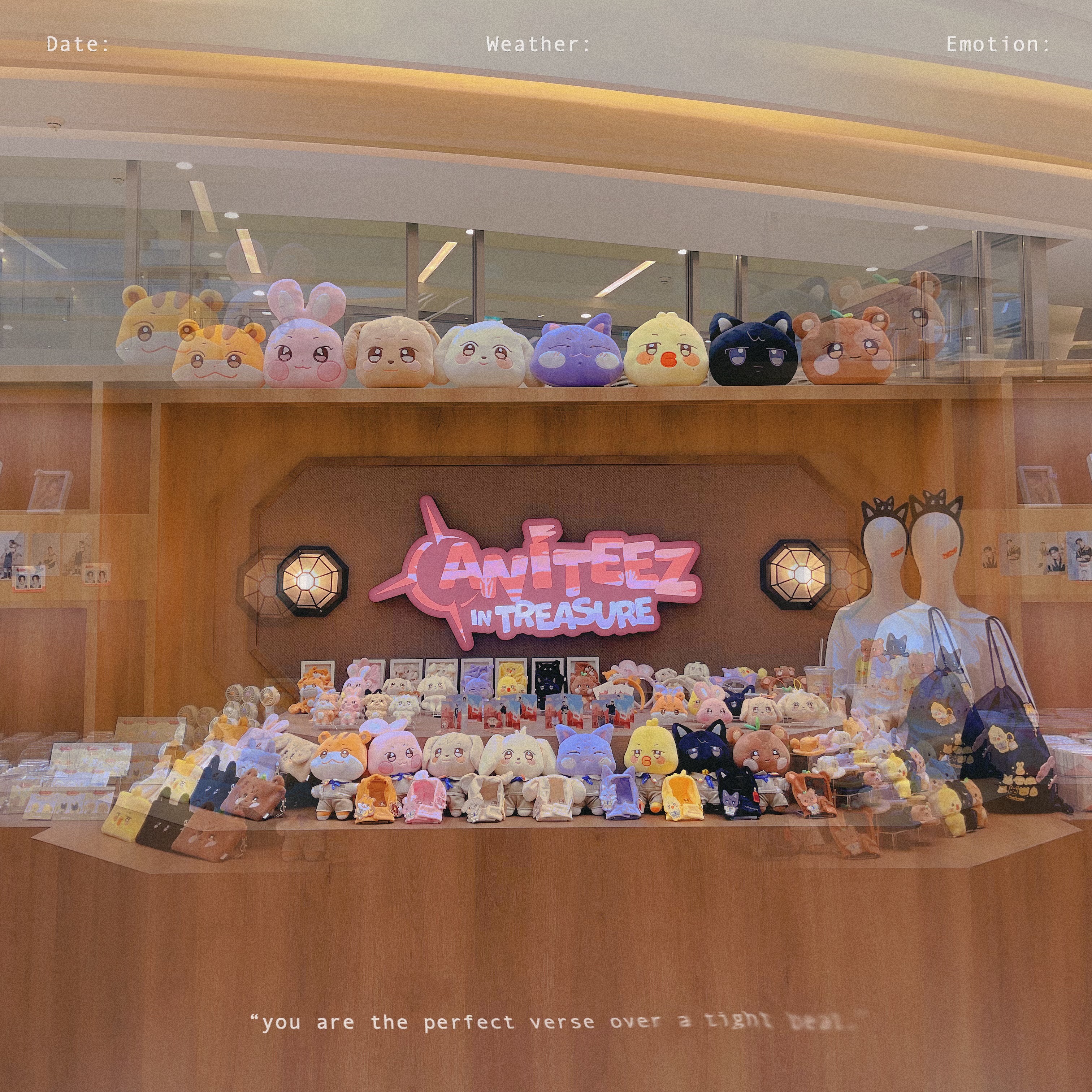ANITEEZ IN TREASURE🐿️🐰🐶🐩🐱🐥🐈‍⬛🐻線下代購