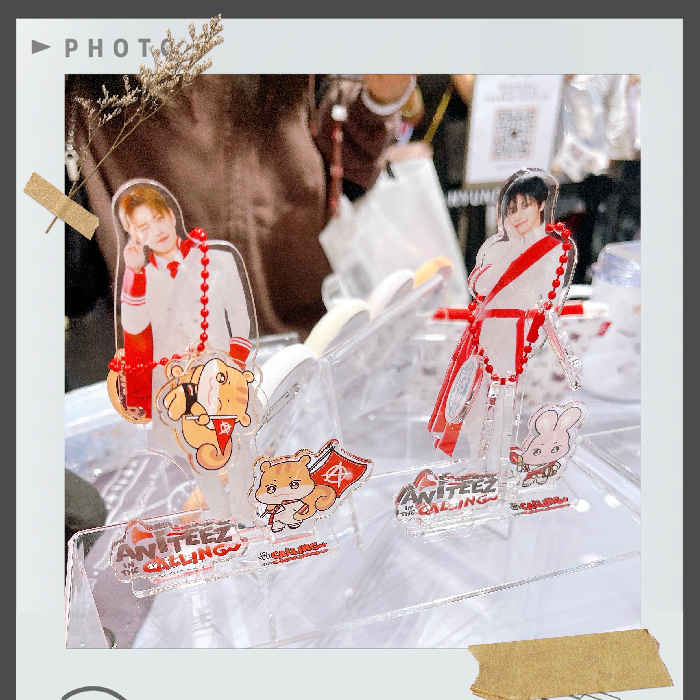 梯子九月運回🏴‍☠️