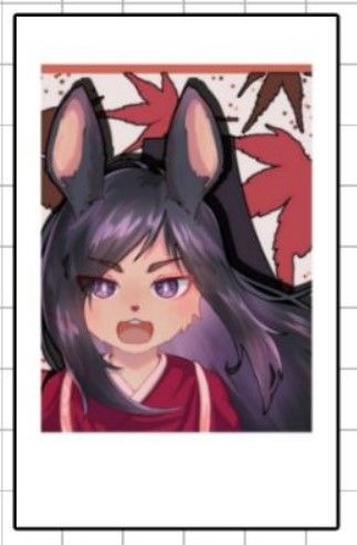 「各種拍立得」❤