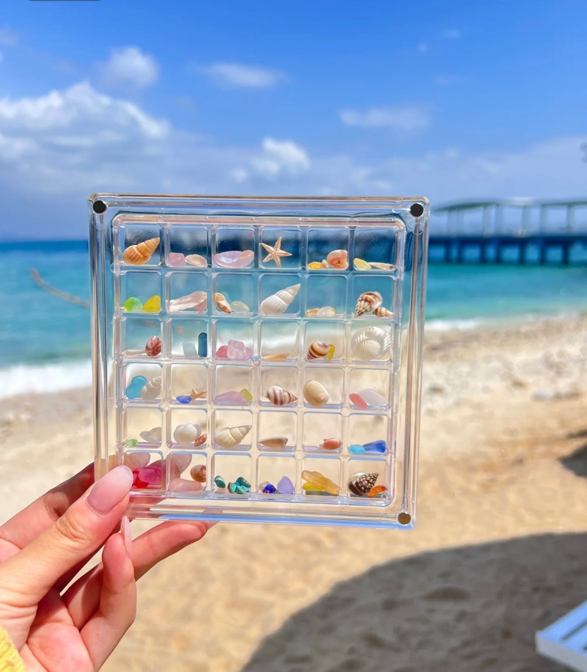 高透壓克力✨貝殼小寶石收納盒