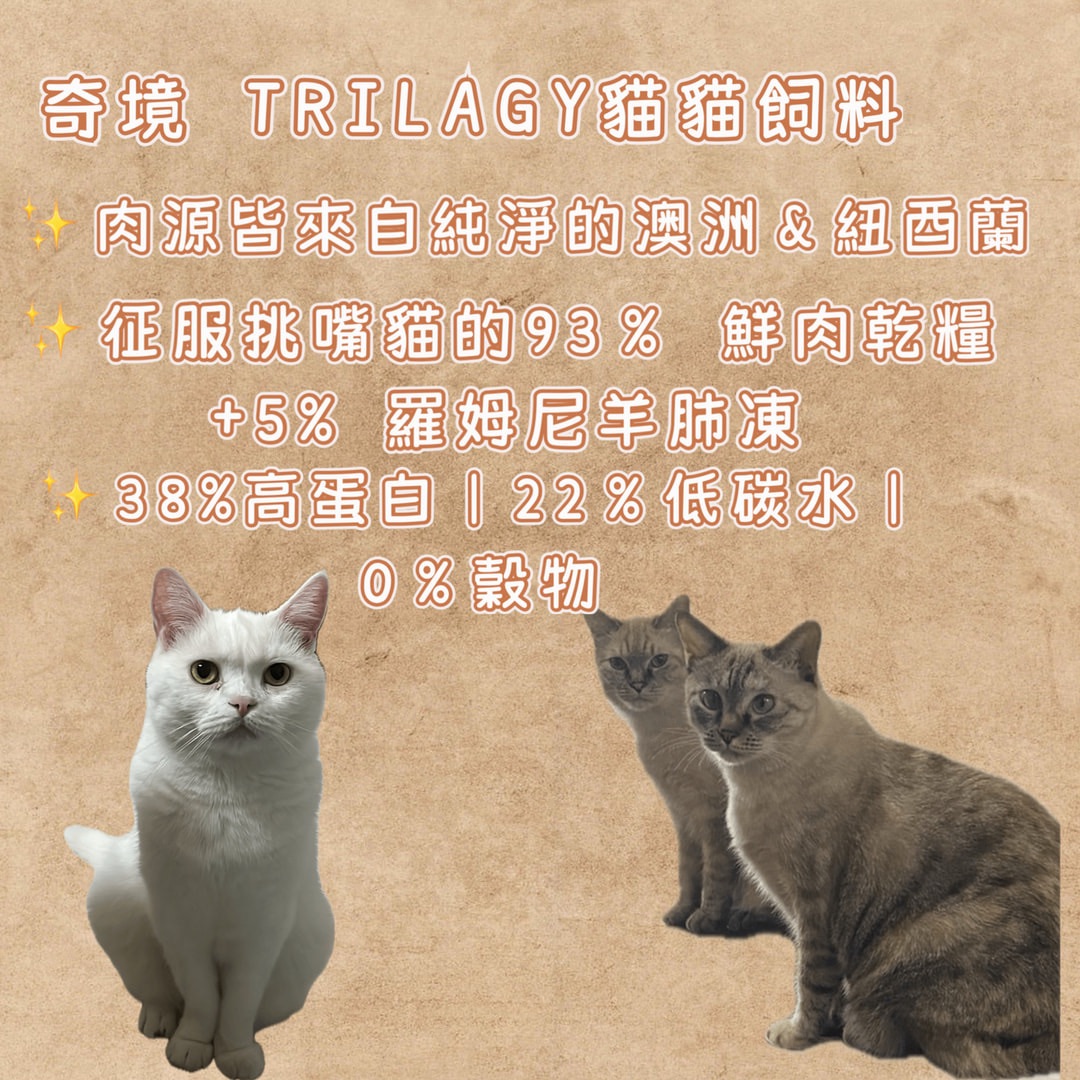 奇境 TRILAGY貓貓專門飼料