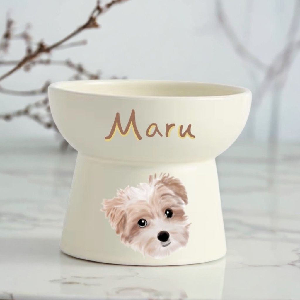 [酷寶家族] 寵物高腳碗