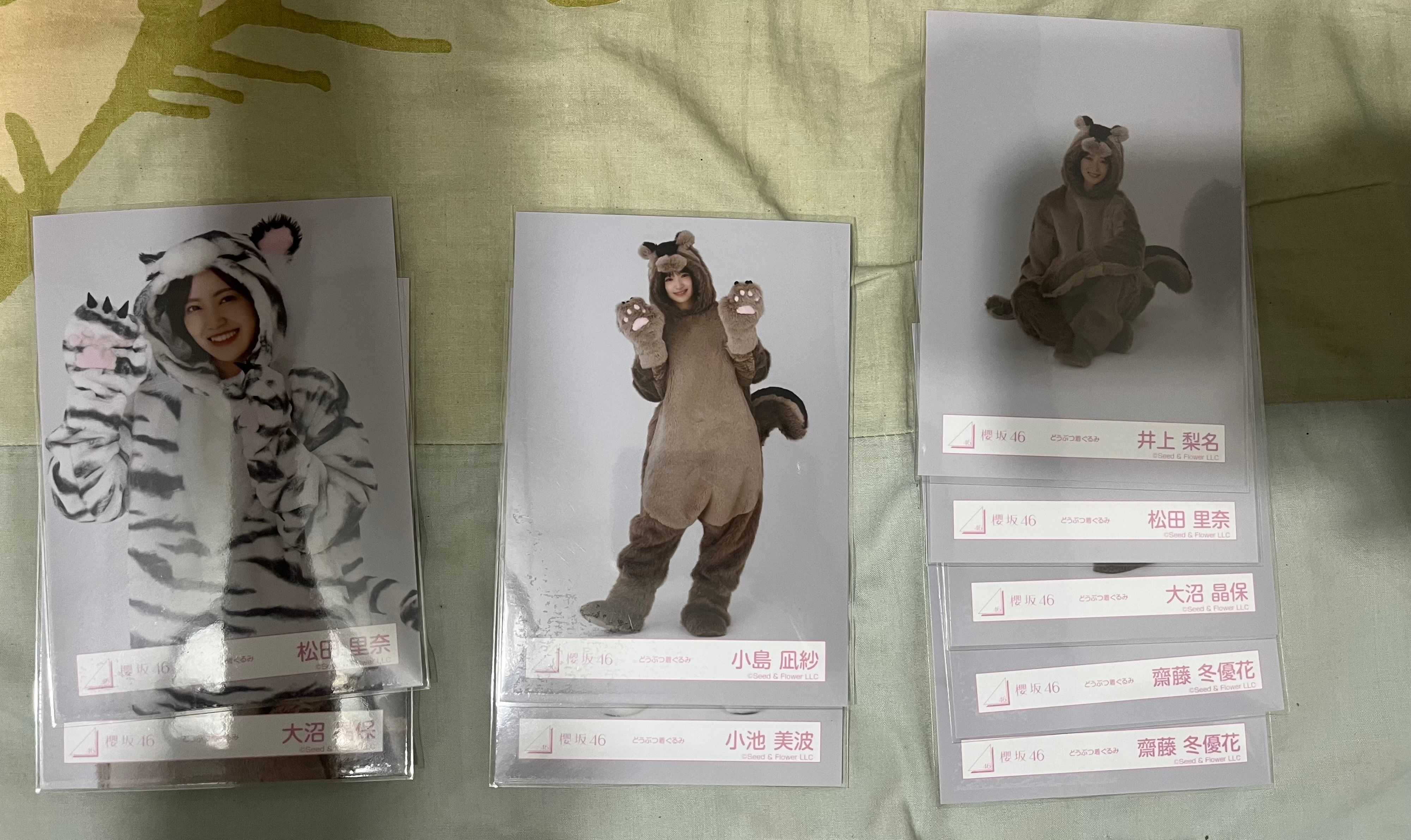 櫻坂動物裝 散張