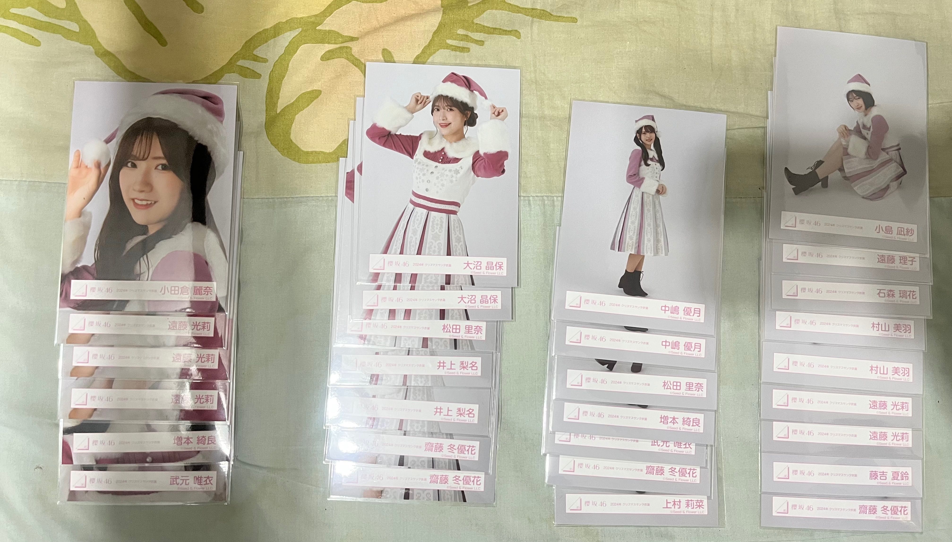 櫻坂2024聖誕 散張