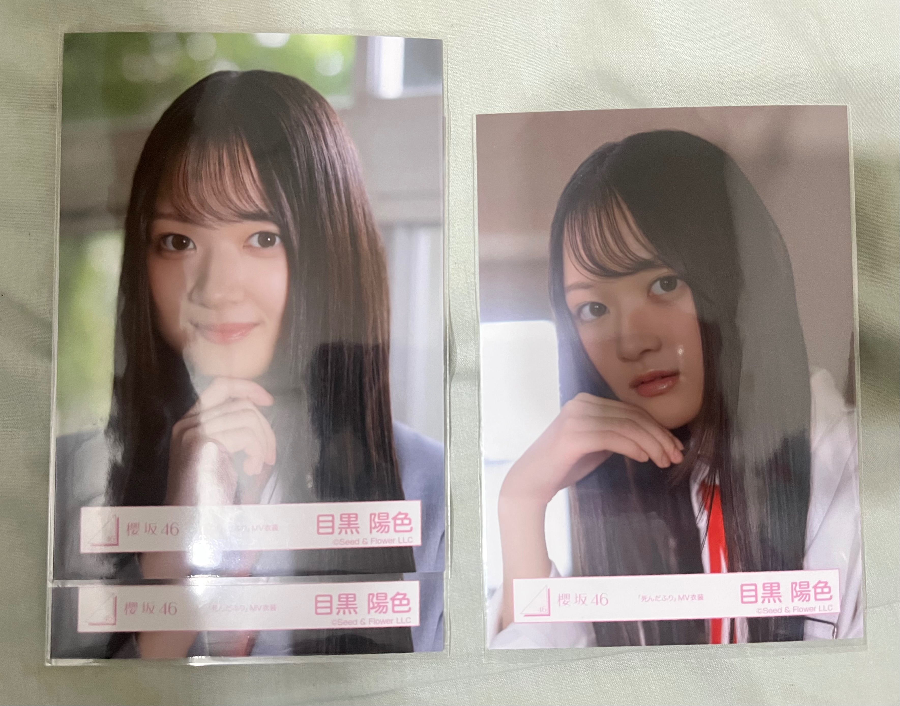 櫻坂 死んだふり 散張