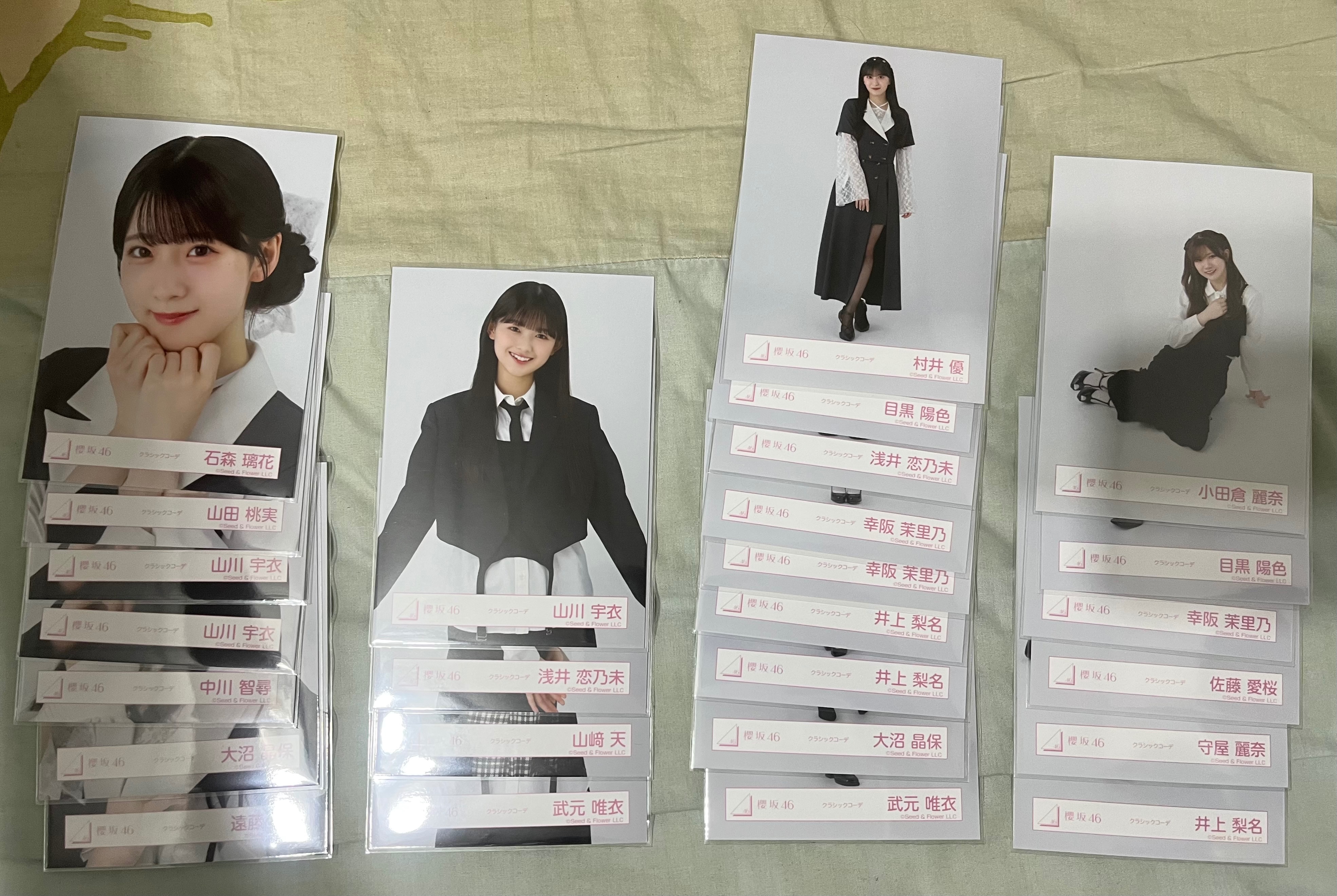 櫻坂 classic 散張