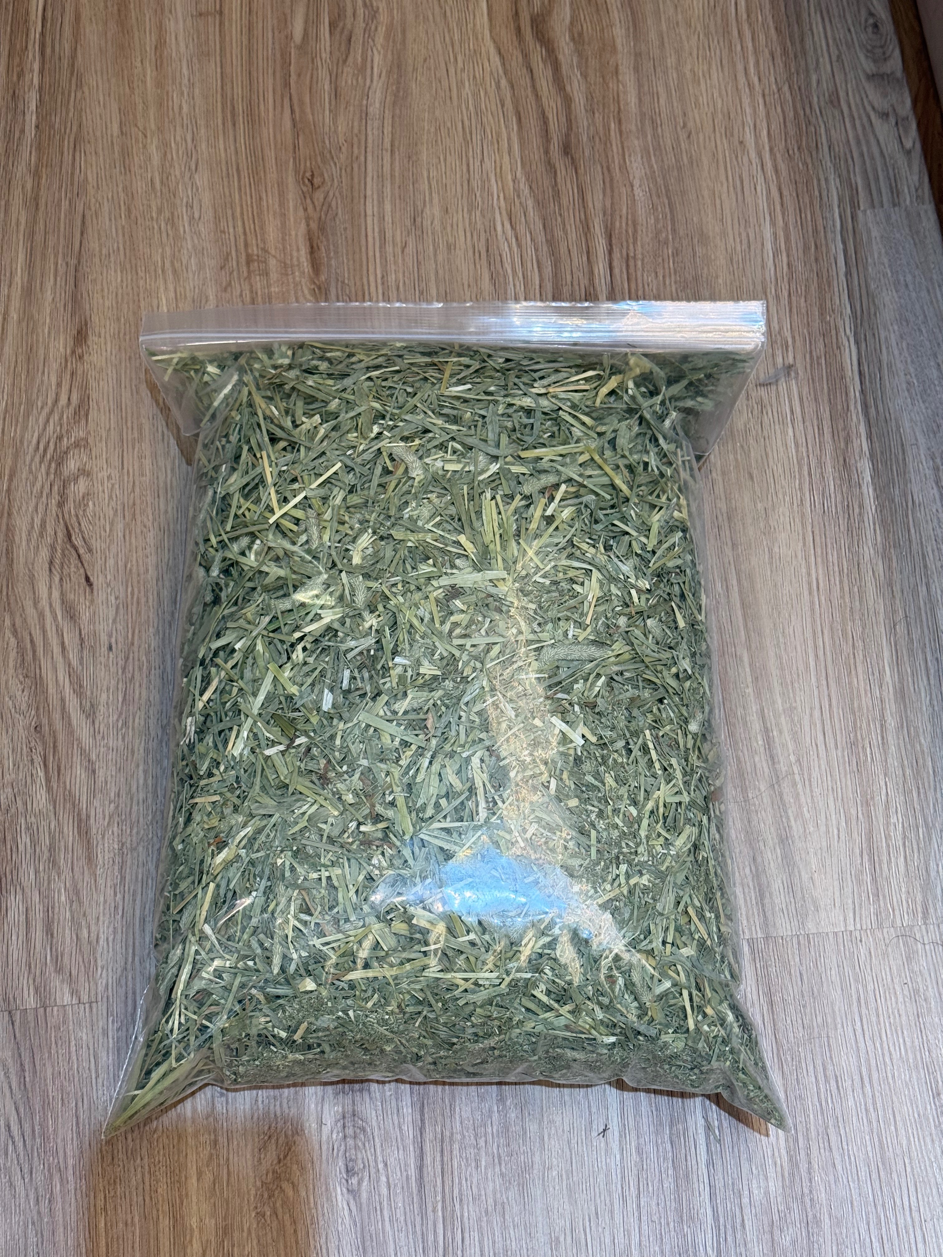 浩大龍貓-頂級牧草