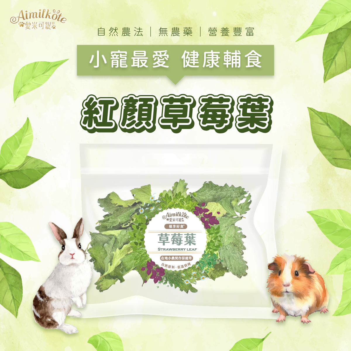 浩大-臺灣愛米可緹Aimi Kote保健草.編織玩具系列🇹🇼