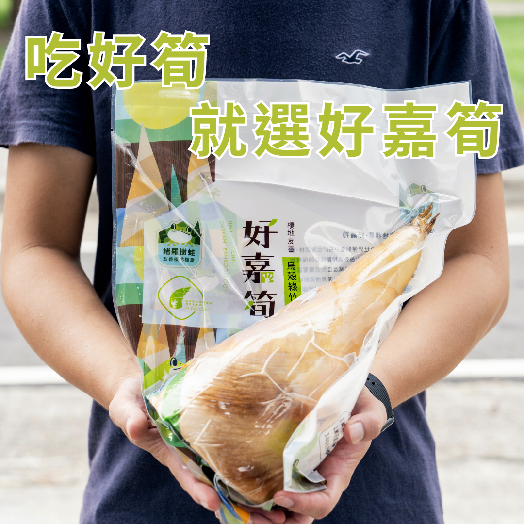 烏殼綠竹筍