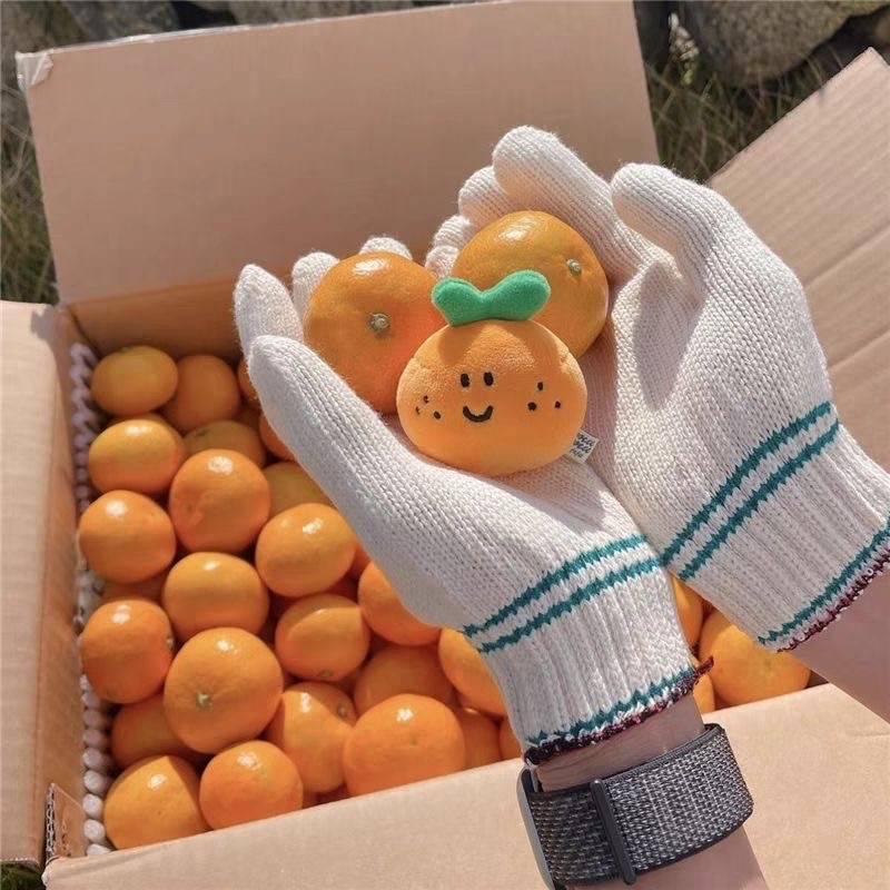 濟州島的小橘子🍊！