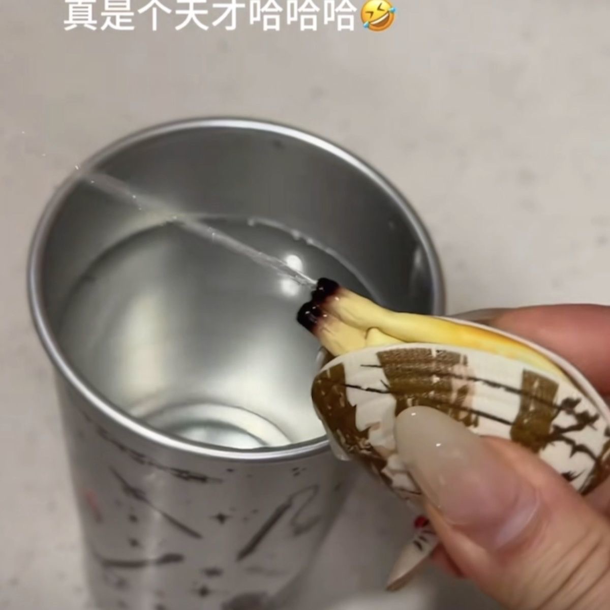 蛤蜊水槍