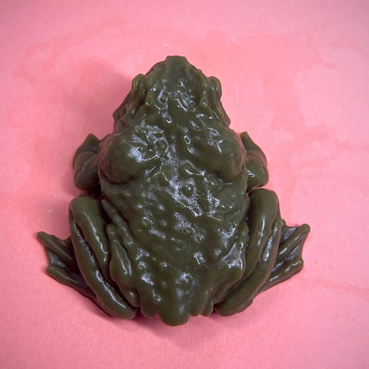 仿真蟾蜍🐸捏捏樂