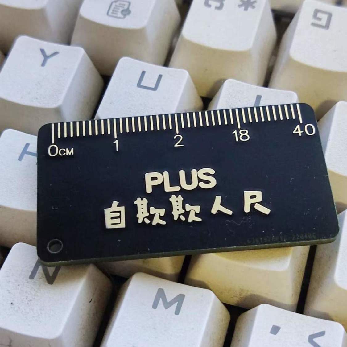 自欺欺人尺PLUS