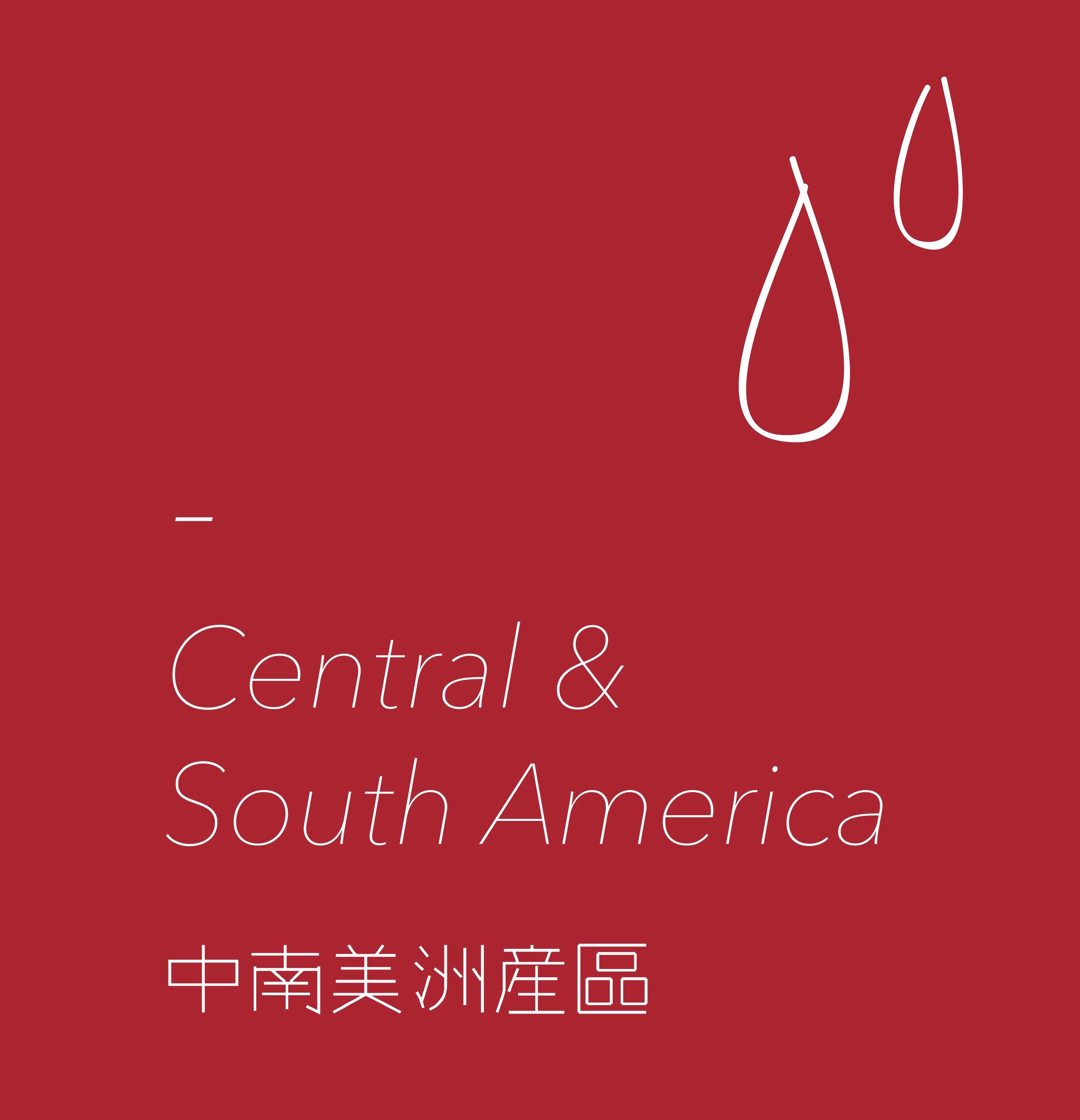 淺中烘焙｜尼加拉瓜 希諾特加 極光莊園 芭蕾特 金牛 慢速日曬