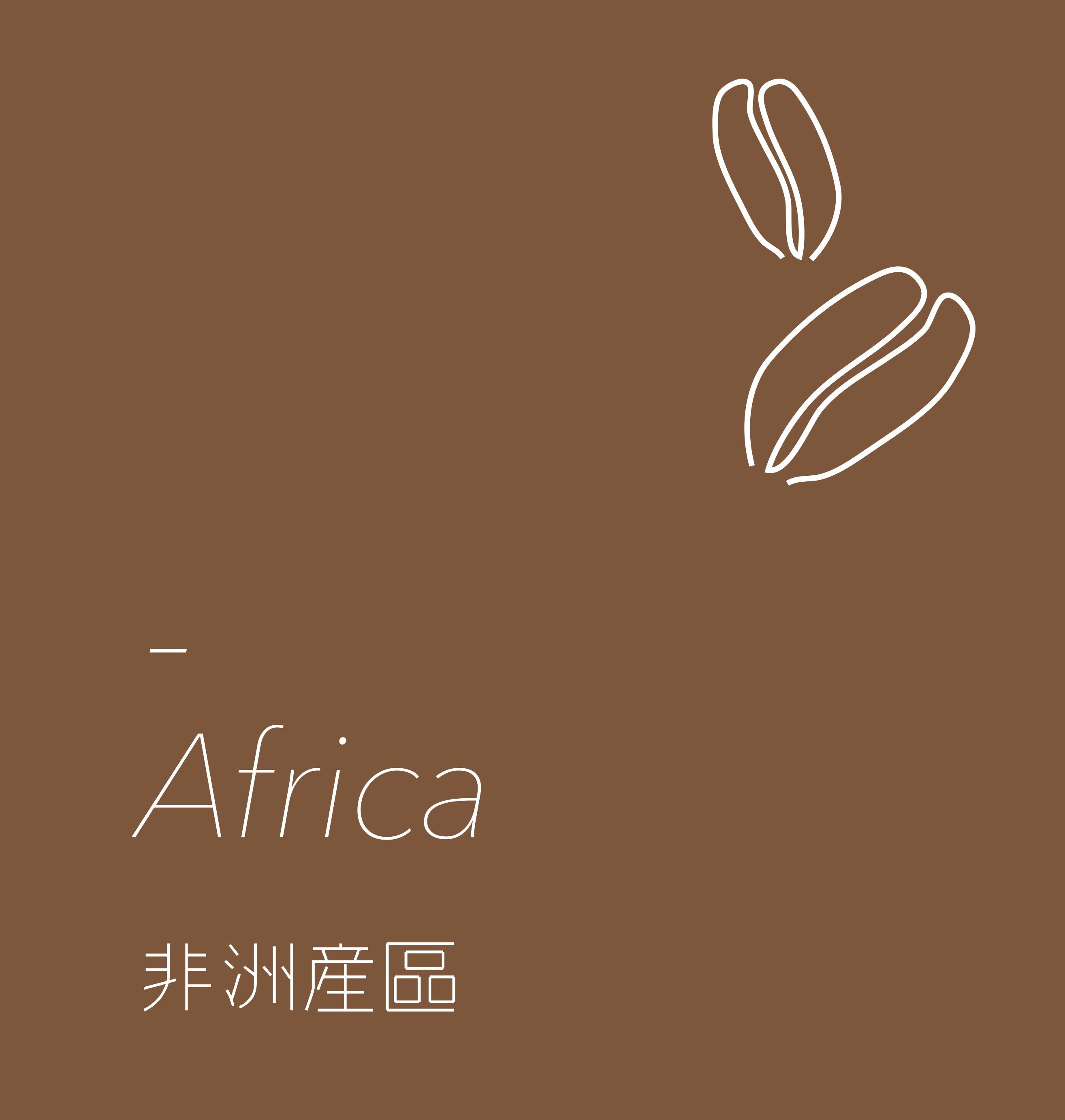 淺烘焙｜衣索比亞 谷吉 烏拉嘎 茉香柚處理站 可如蜜 白蜜處理 G1