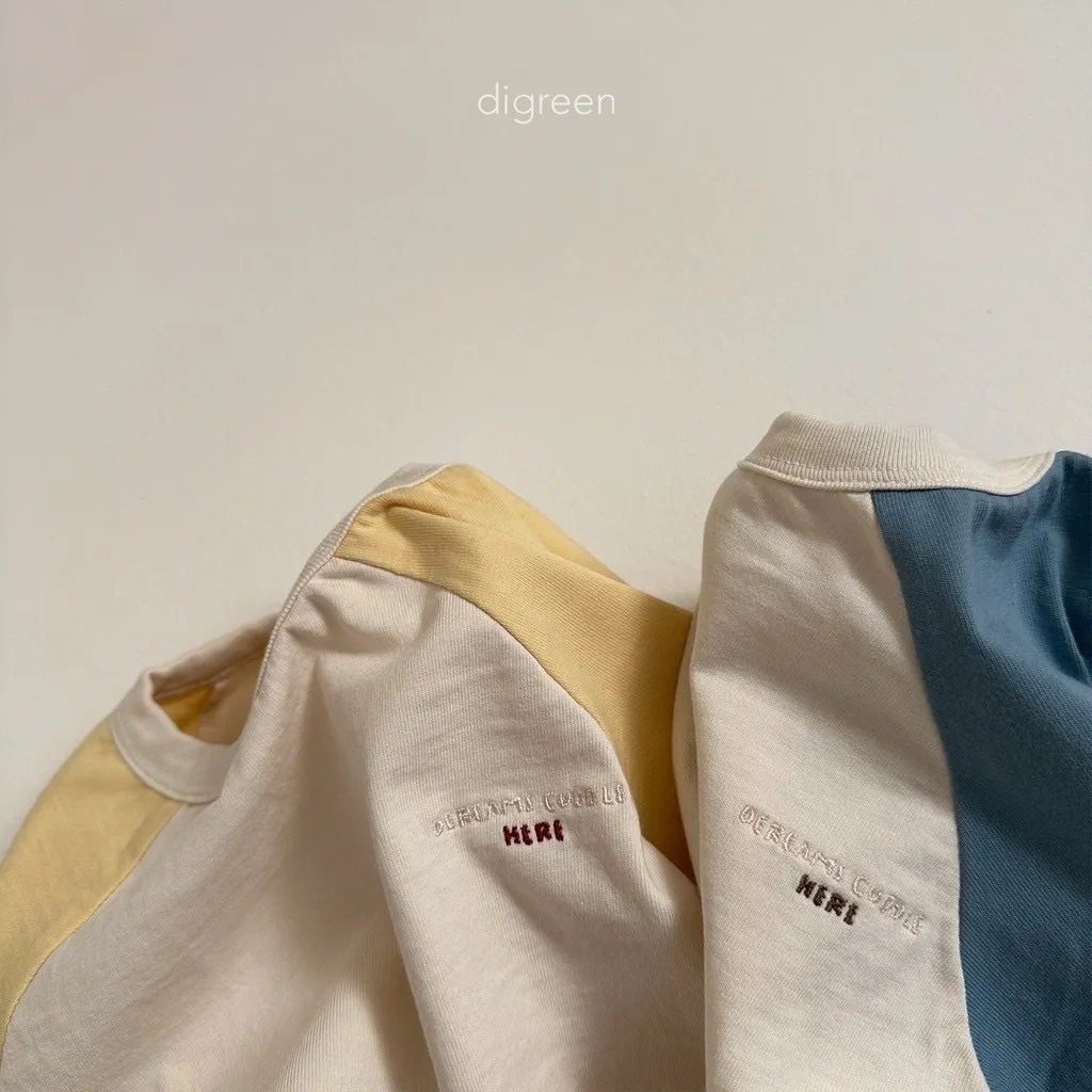 現貨 春季韓國digreen HERE拼色袖薄衫