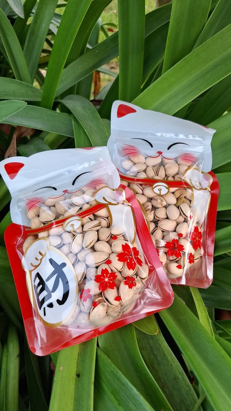 ✨️招財開心果🧧