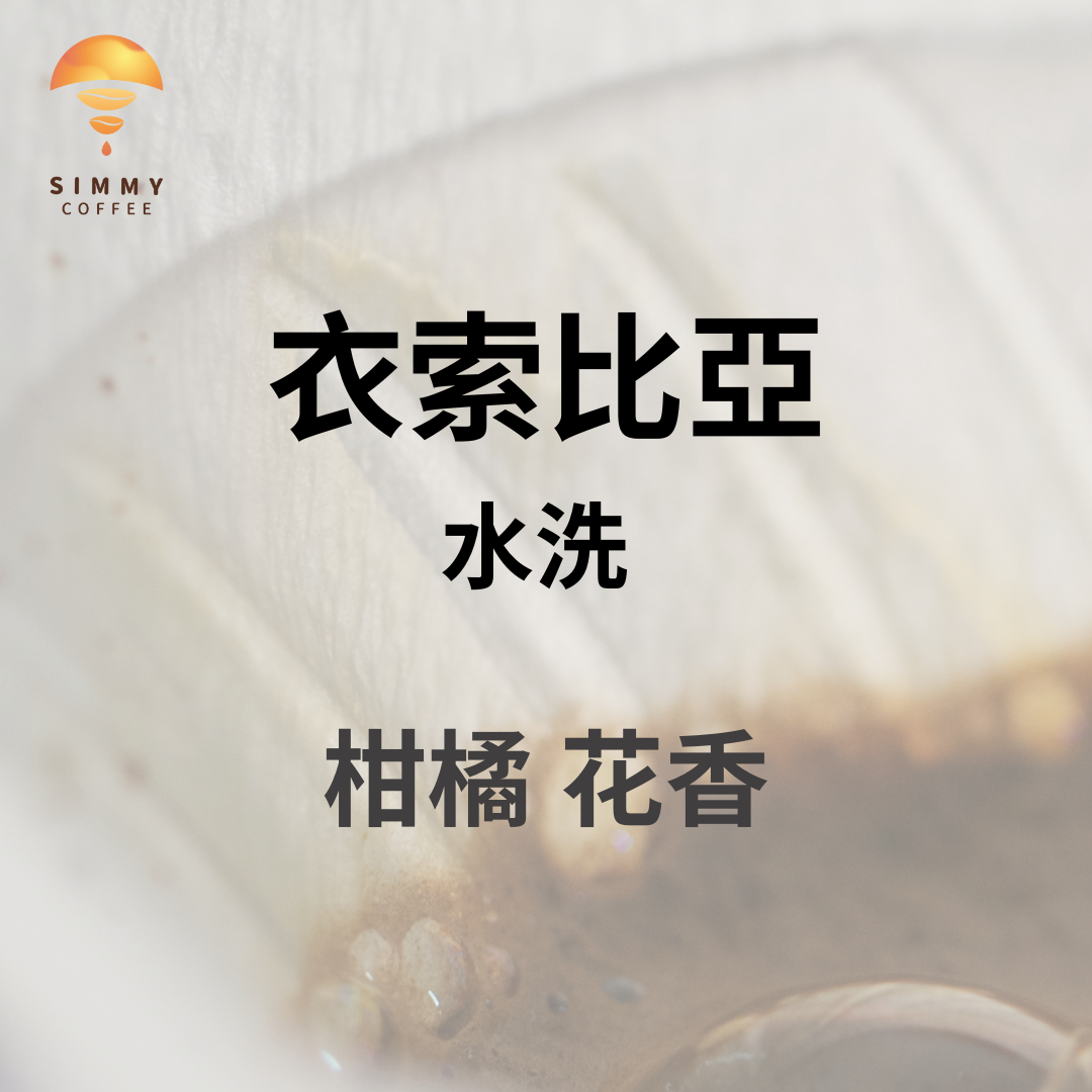 淺中焙_衣索比亞 南西寶 水洗｜柚、柑橘、花香｜咖啡豆 手沖 濾掛 精品咖啡 好喝 浸泡咖啡 冠軍咖啡