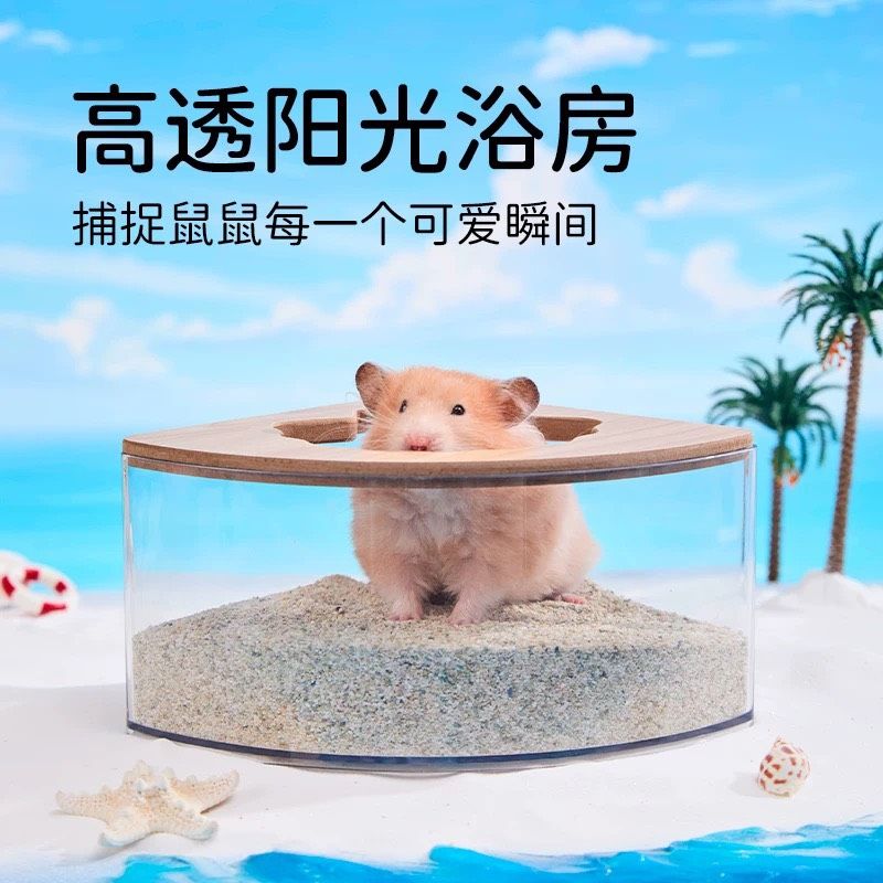 ✨新品現貨上架✨ 它適貝殼浴室