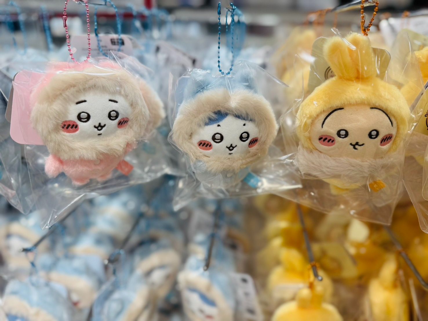 rouuuuuu____ 冬日小八貓