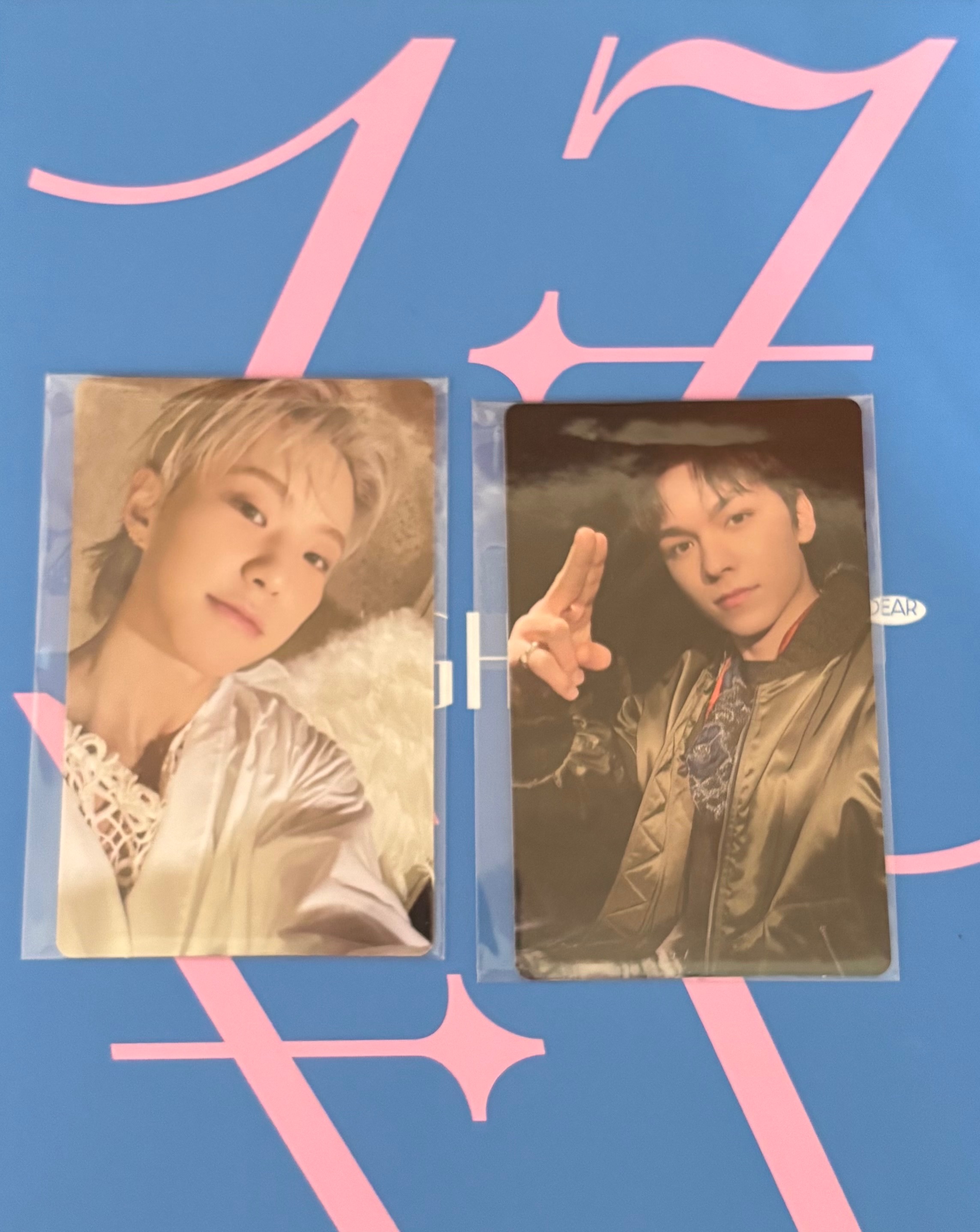 感謝祭（粉卡背）