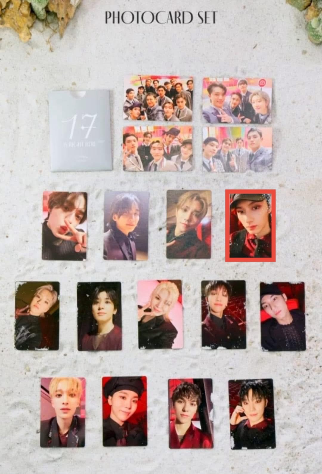 精選專俊小卡+寫真