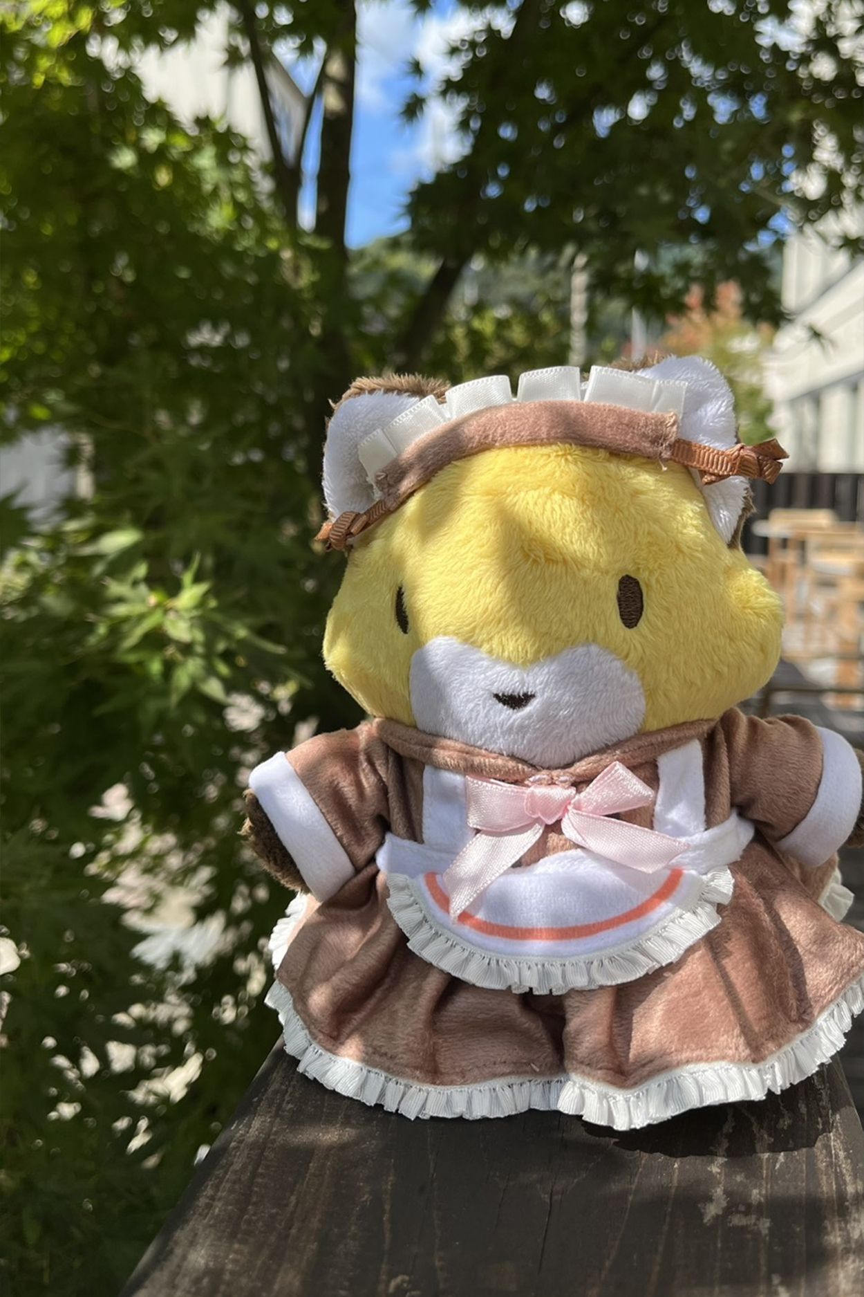 MUTCHI ─ 衣裝