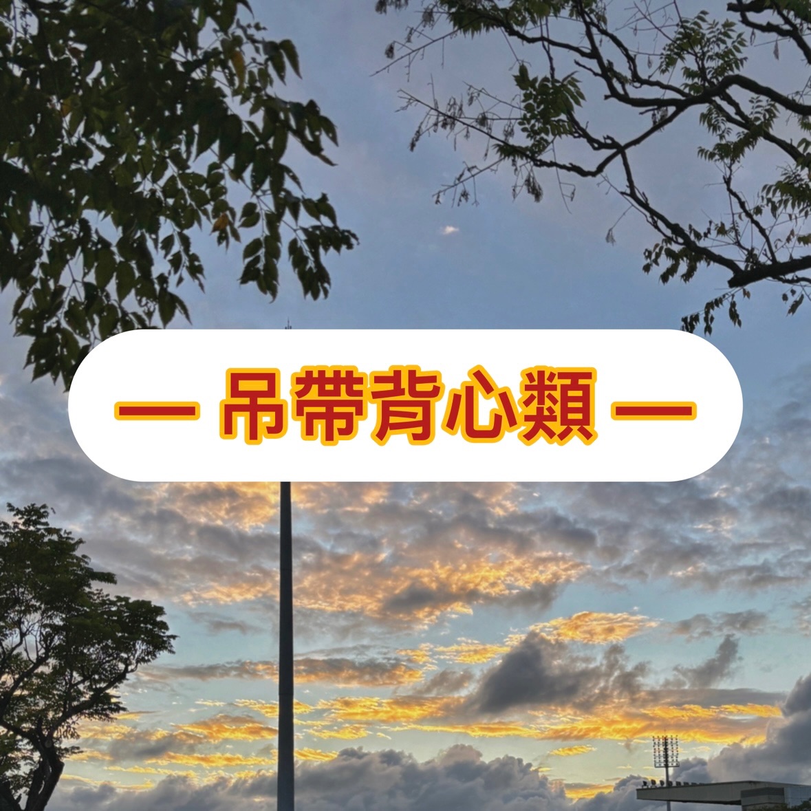 吊帶背心類