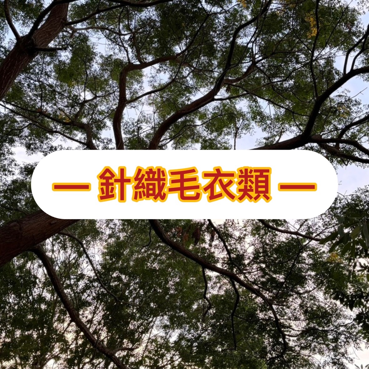 針織毛衣類