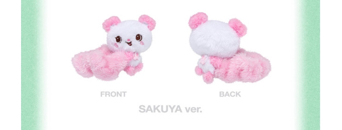 （現貨）INTO THE WISH周邊