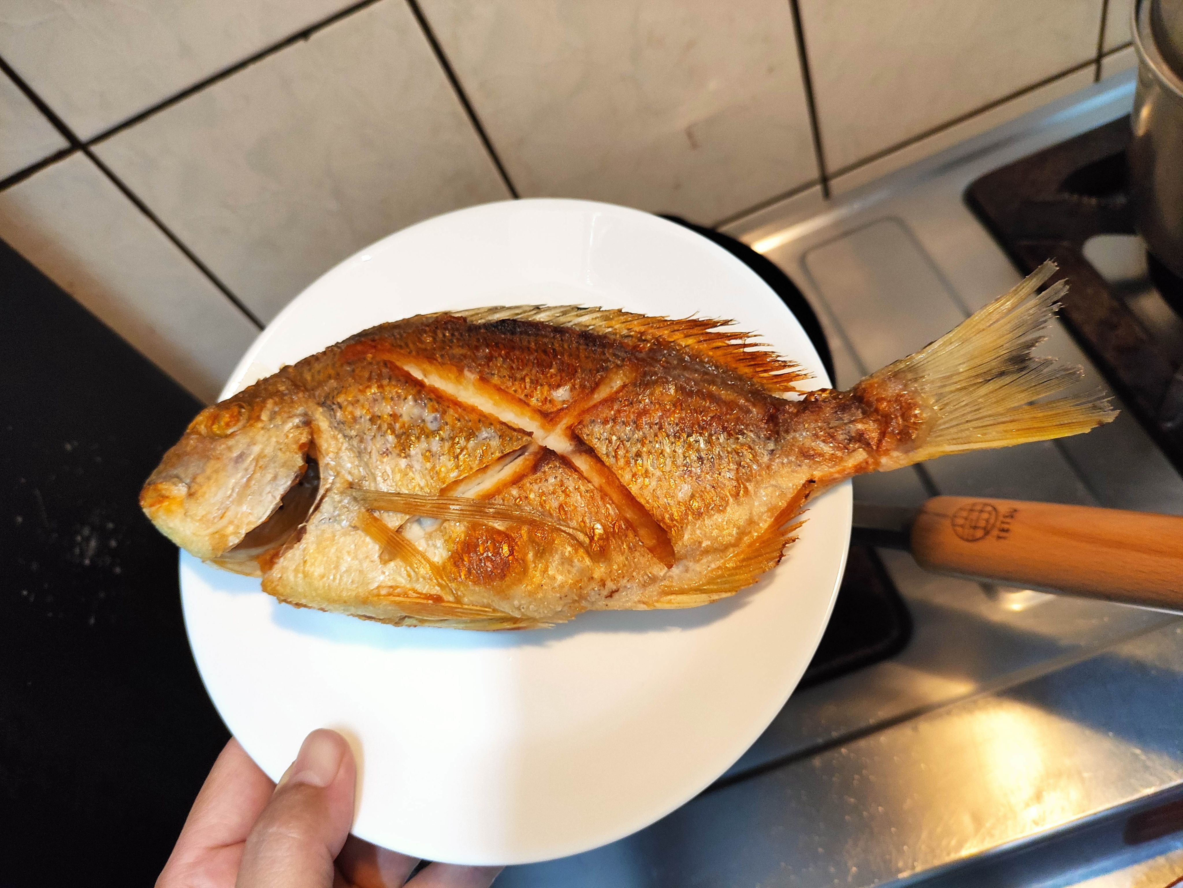斑頭，黃錫鯛