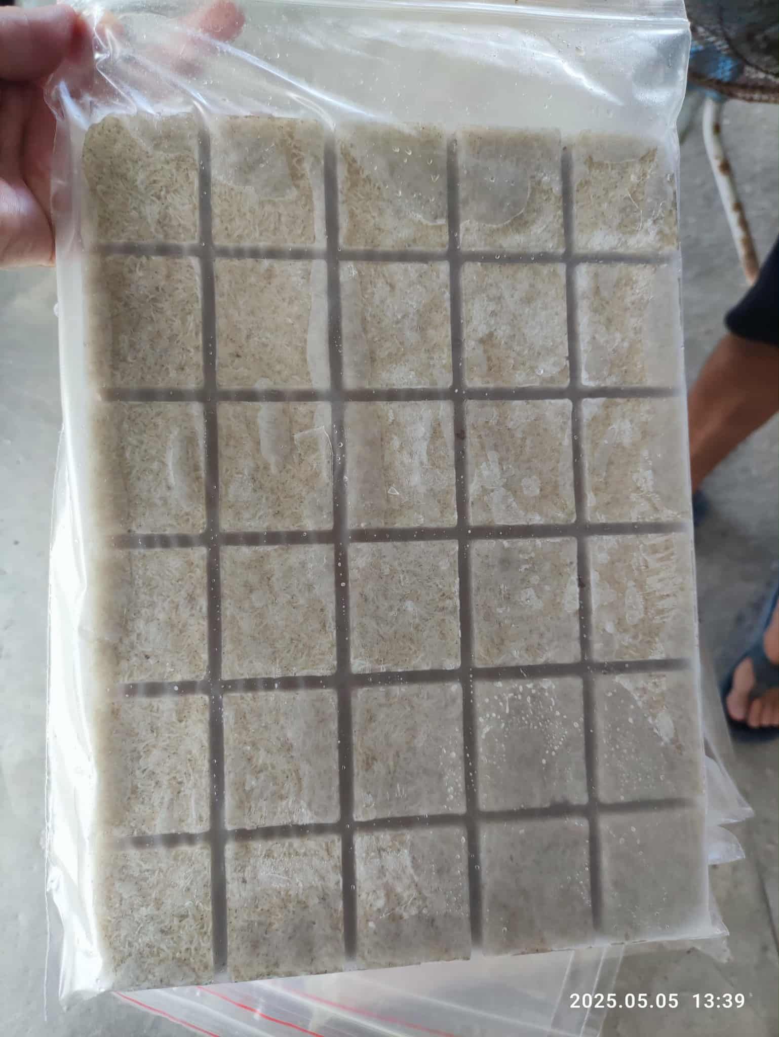 冷凍糠蝦