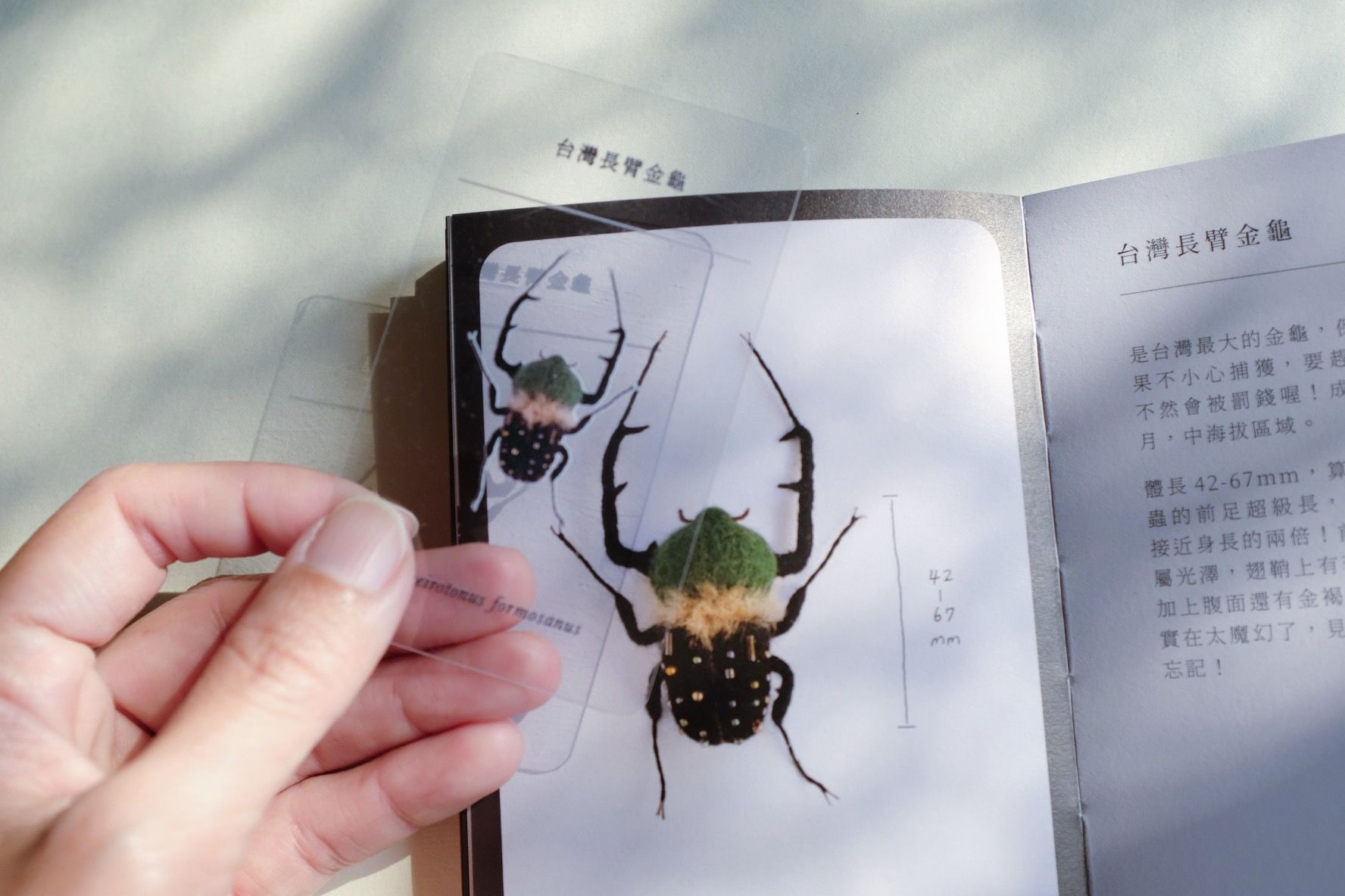 昆蟲書籤 任選5張