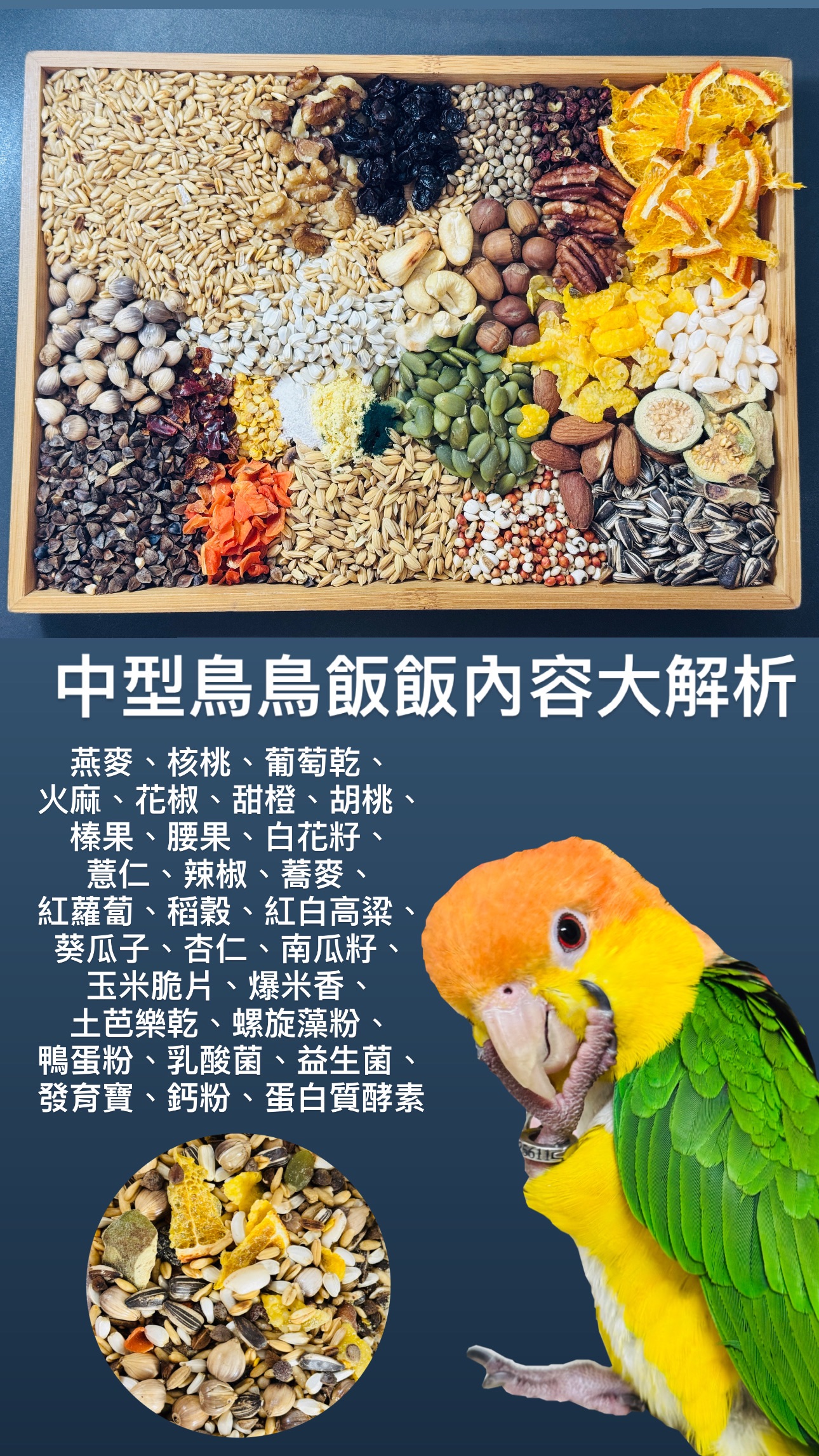 中型鳥鳥飯飯
