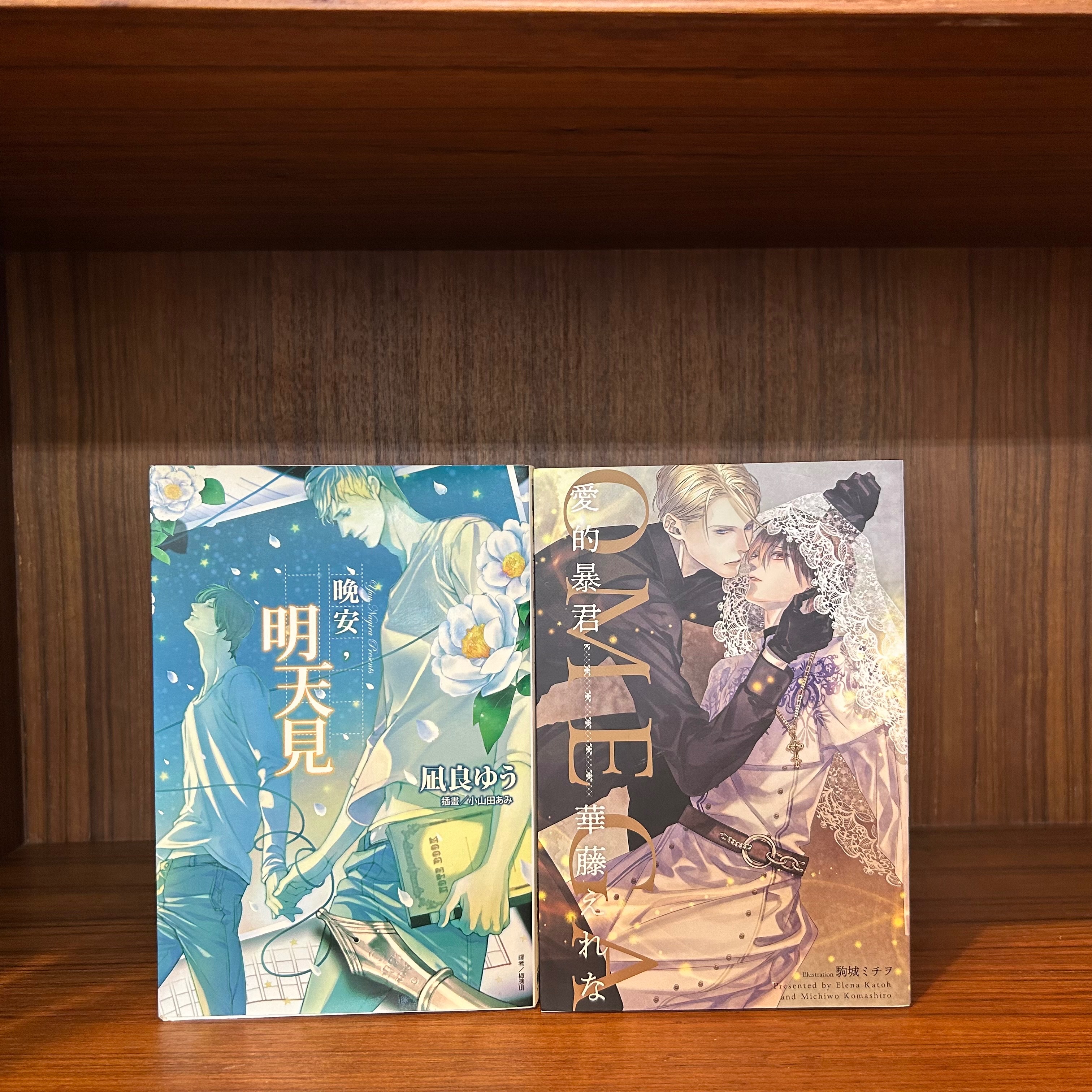 🍦二手🍦 BL小說｜