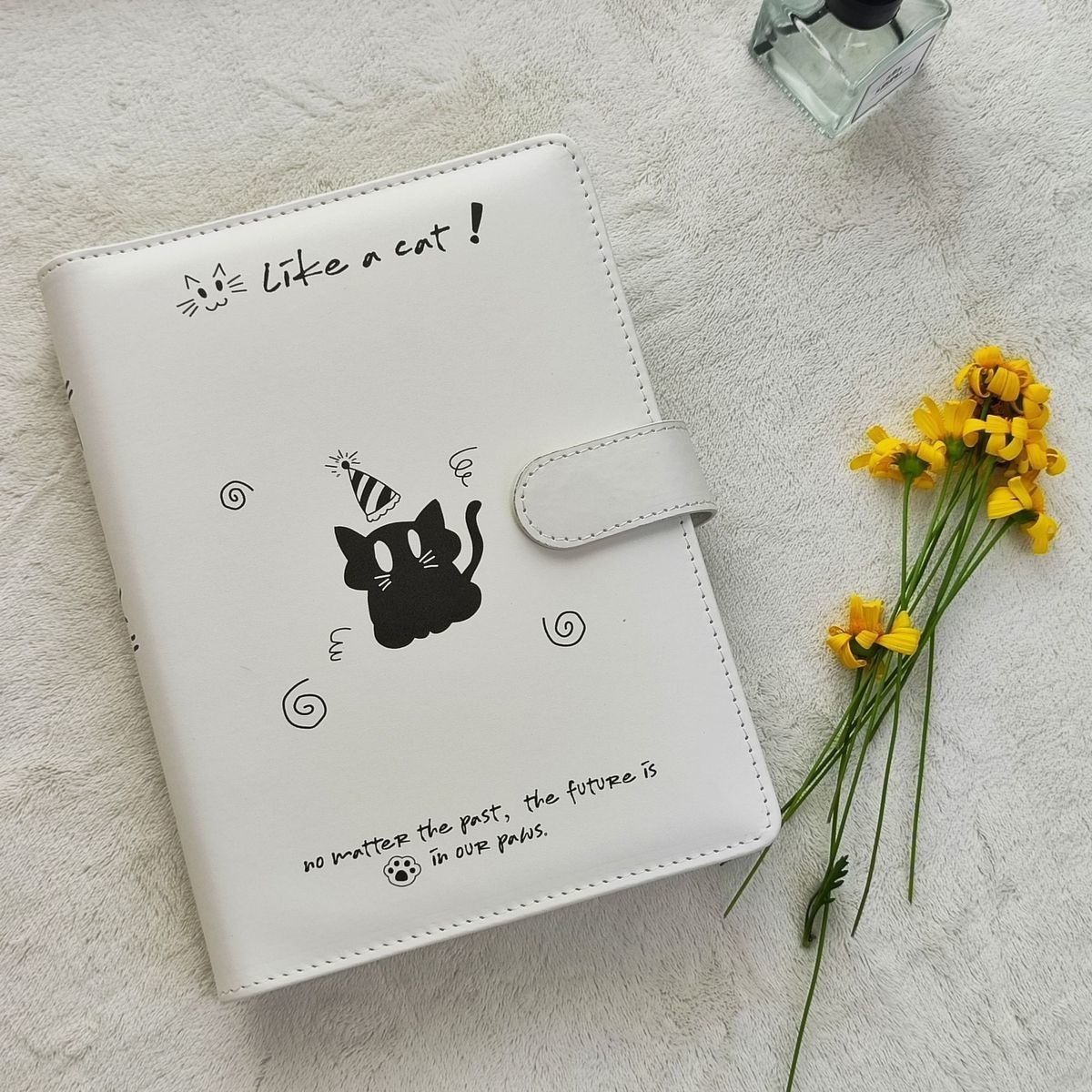 驚嚇貓A5四宮格卡冊/單格卡冊