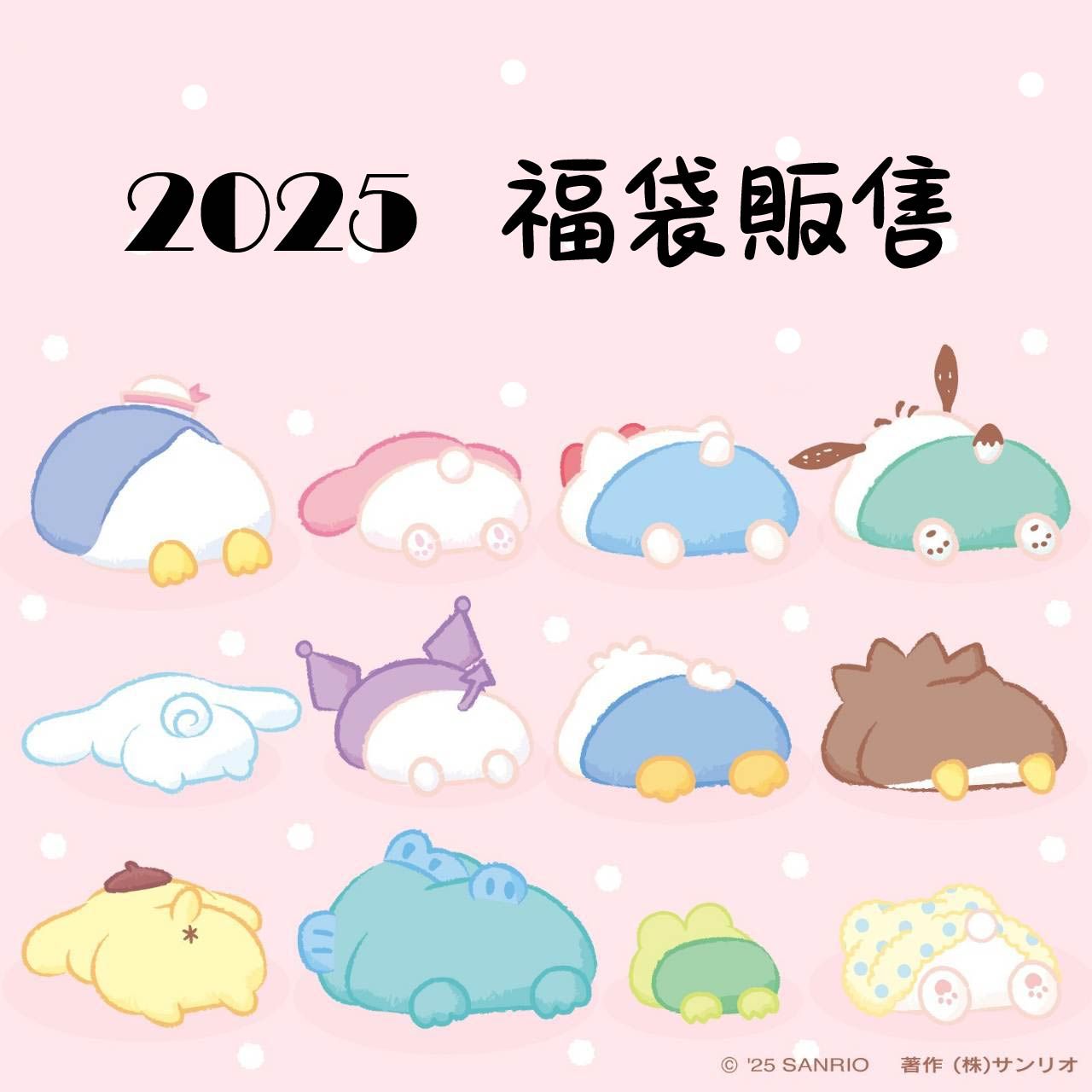 2025年福袋#請詳讀商品描述