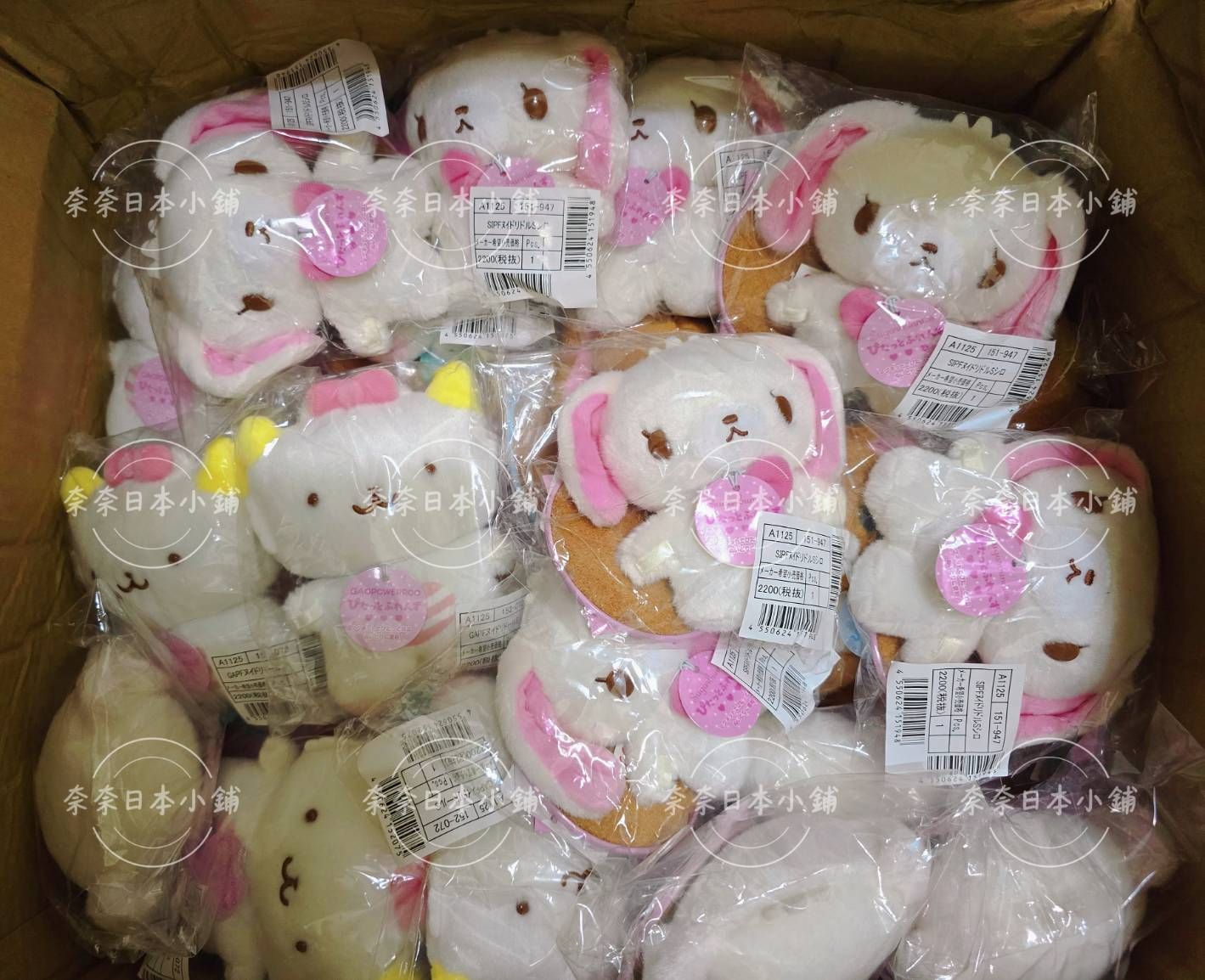 2025年『9月目錄』磁吸S號娃