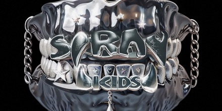 Stray kids空專🐺（皆🈚️小卡）