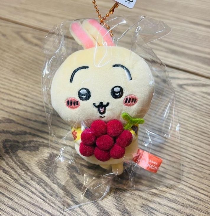 新品/補貨 預購區