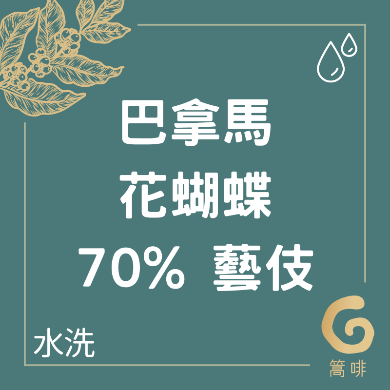 巴拿馬 花蝴蝶 70% 藝伎 水洗