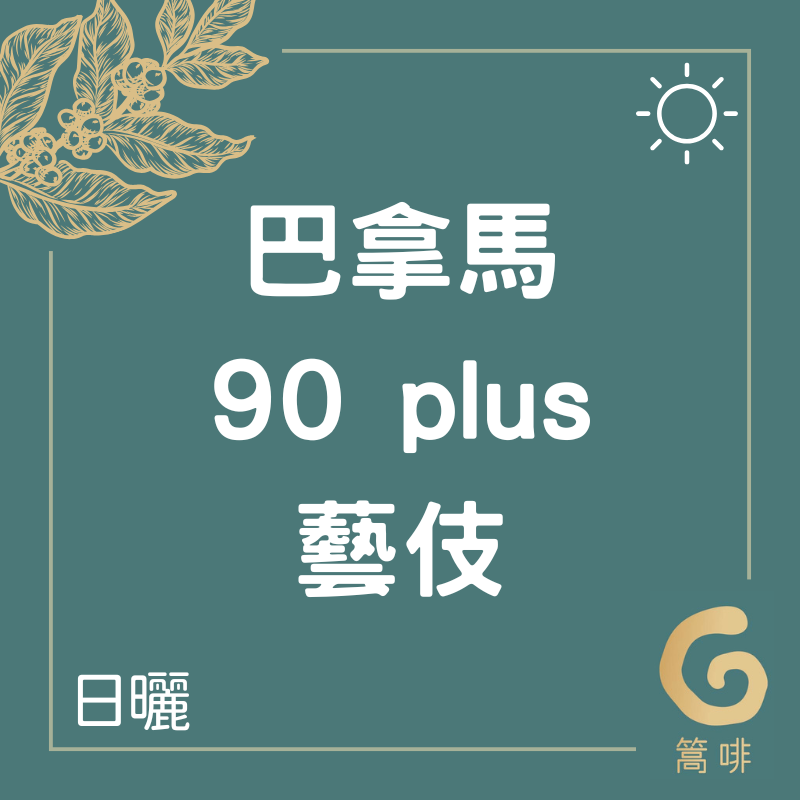 巴拿馬 90+ 藝伎莊園 藝伎 日曬