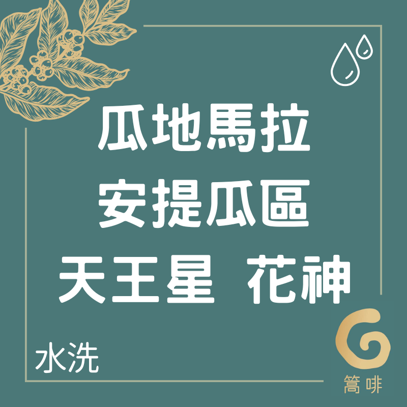 瓜地馬拉 安提瓜區 天王星 花神 水洗