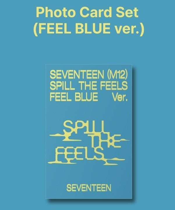 SEVENTEEN 迷你12輯 週邊 Photo Card Set
