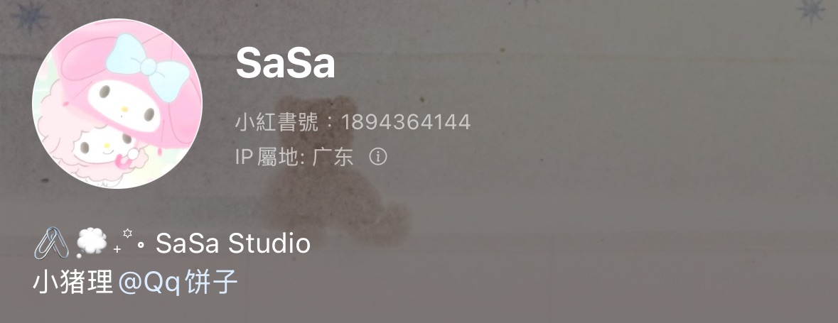 sasa studio