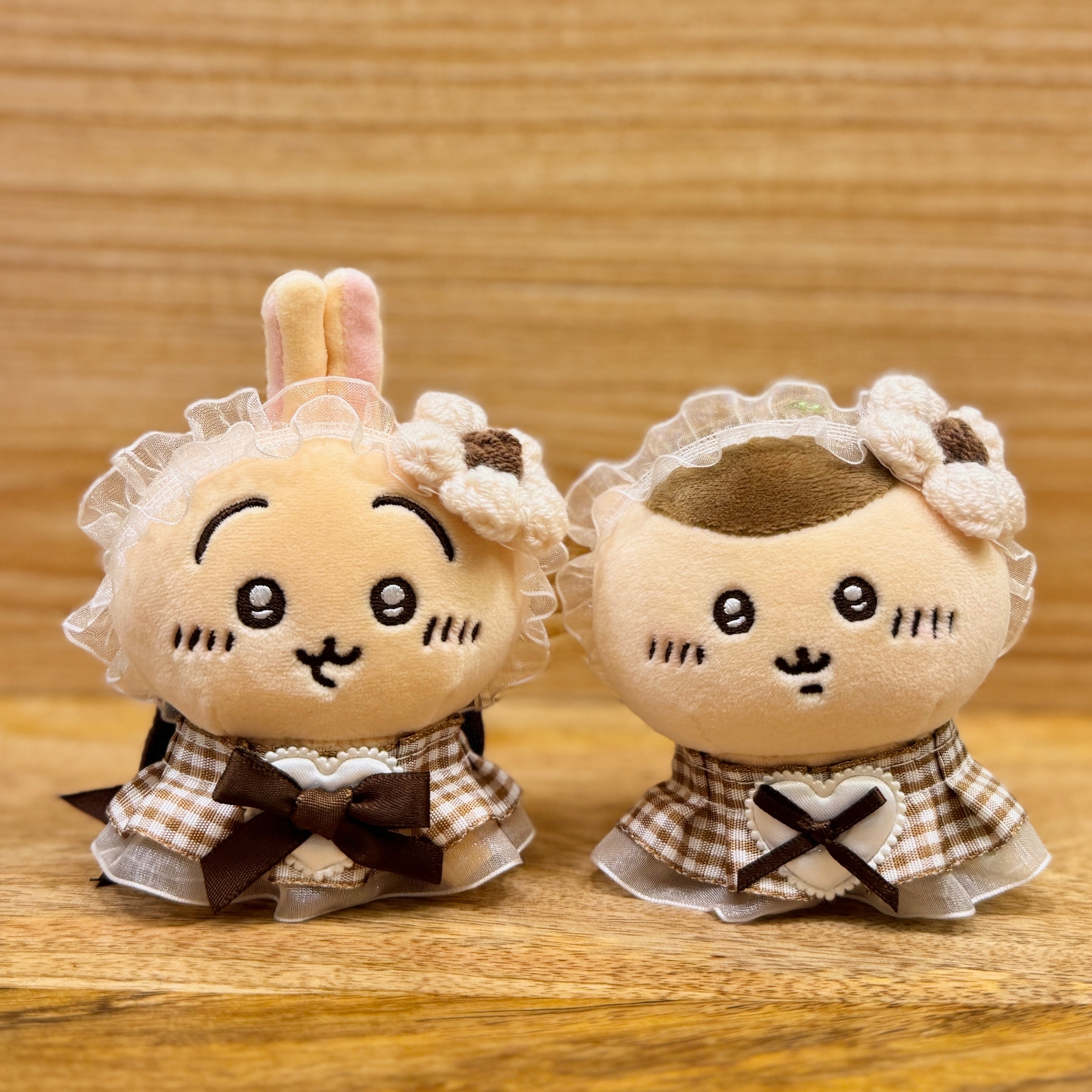 【 奶呼呼 🤎 焦糖瑪琪花朵 】