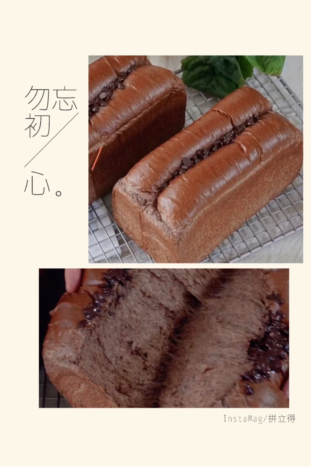 SaSa烘焙-巧克力蛋糕面包吐司