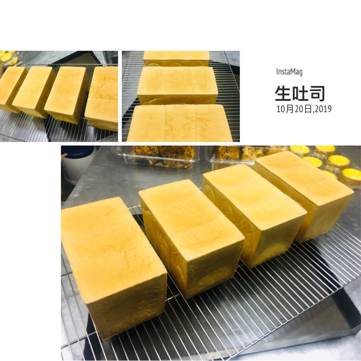 SaSa烘焙-燒牛奶生吐司