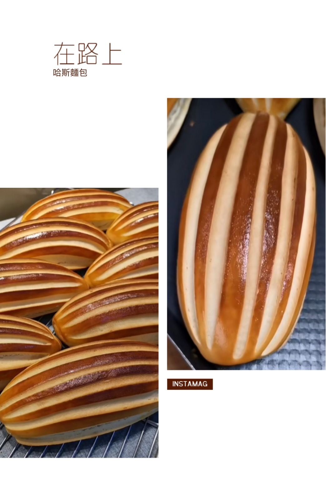 SaSa烘焙：哈斯麵包